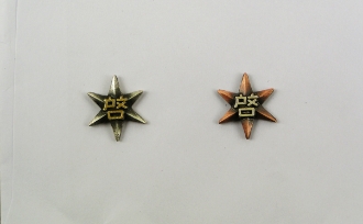 校章の写真（2枚目）